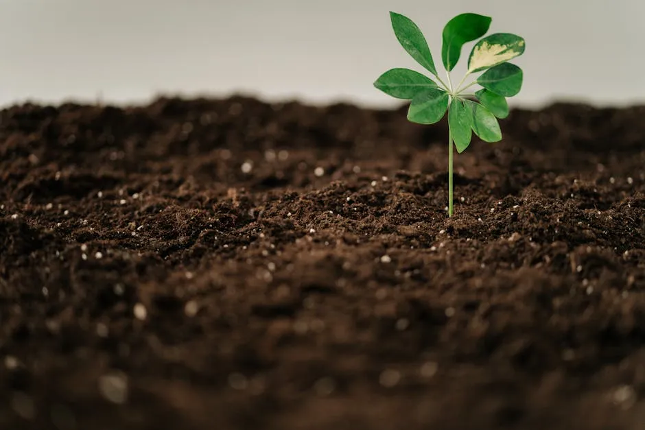Fractional CTO advising a seed-stage startup